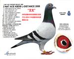 08KBDBȫǾ 
