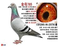 ĸ785