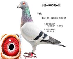 ׵ϡػѪ