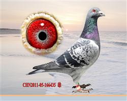 ӥĹظʮλƽ