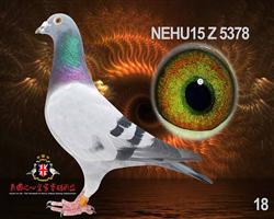 ȷ18Ÿ-1736612