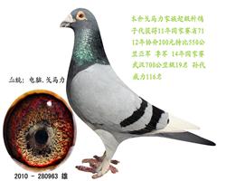 ë