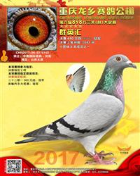 2017＾繫ھ
