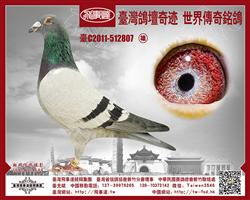 Ľ807