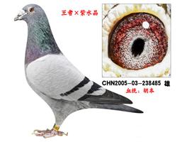 ֱӣͣ