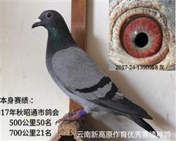 70021