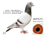 Ҷ355