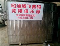 ڷ뾹ֲ