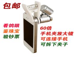 60ֻŴ
