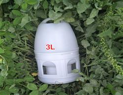 ˮ 3ˮ