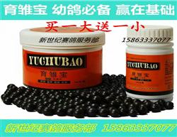 ʡ 300+100裩ٽ׸ָ뷱ֳ