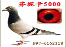 壺ݿ5000ϵʹ