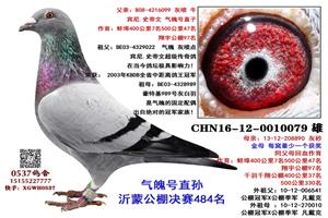 2017ݱƵָչ