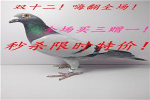˷˫ʮȫһʱɱؼۣһΣ