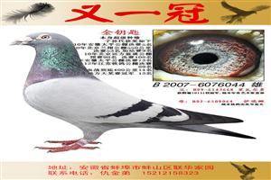 һڹʵսϵչ