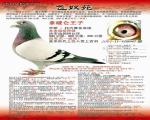 鿴ƷͼƬ