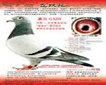 鿴ƷͼƬ