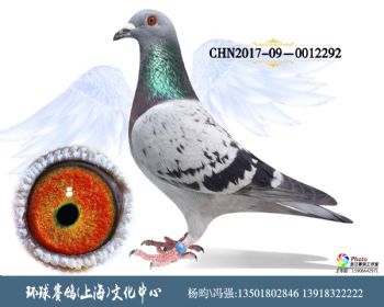CHN2017090012292