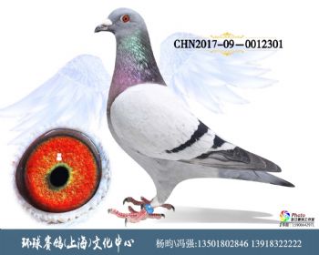 CHN2017090012301