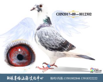 CHN2017090012302