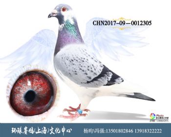 CHN2017090012305