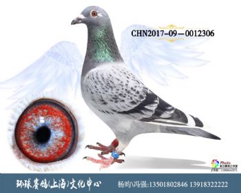 CHN2017090012306