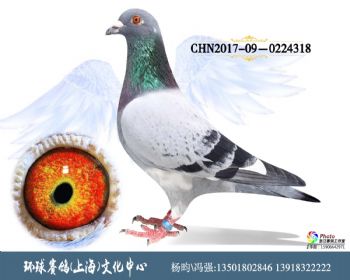 CHN2017090224318