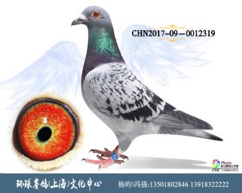 CHN2017090012319