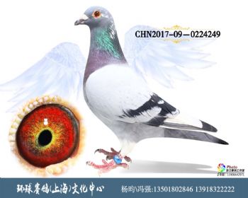 CHN2017090224249