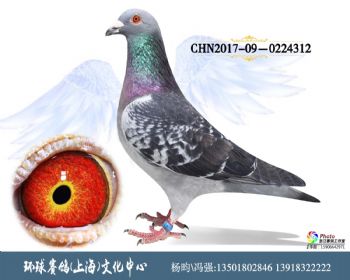 CHN2017090224312