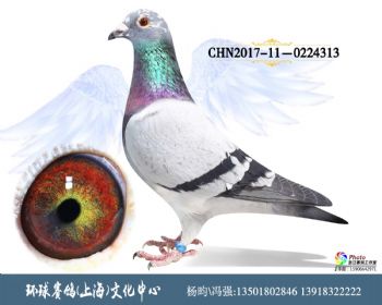 CHN2017090224313