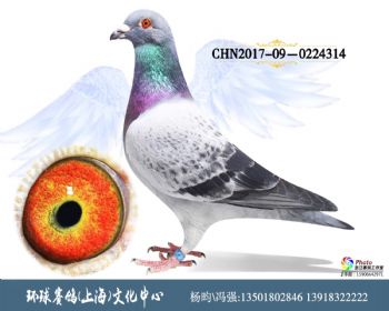 CHN2017090224314