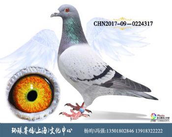 CHN2017090224317