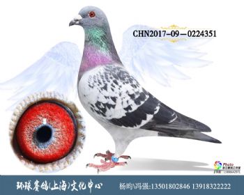 CHN2017090224351