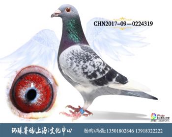 CHN2017090224319