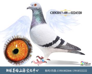CHN2017090224320