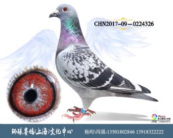 CHN2017090224326