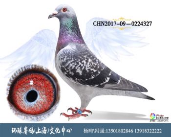 CHN2017090224327