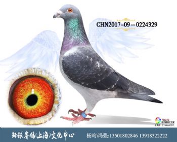 CHN2017090224329