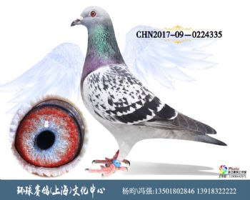 CHN2017090224335