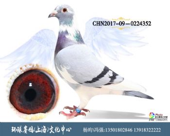 CHN2017090224352