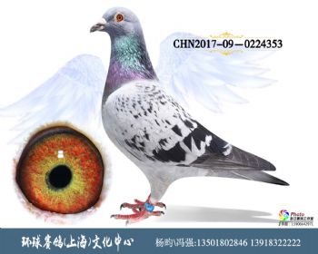 CHN2017090224353