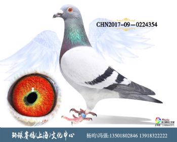 CHN2017090224354