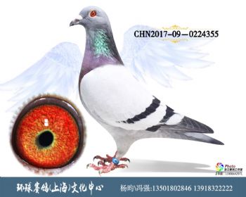 CHN2017090224355