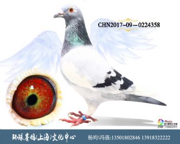 CHN2017090224358