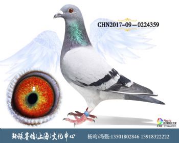 CHN2017090224359