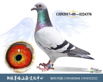 CHN2017090224376