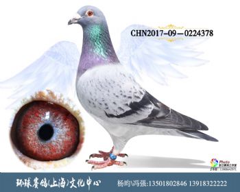 CHN2017090224378