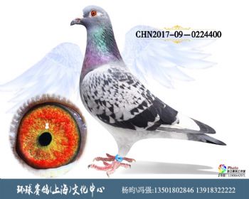 CHN2017090224400