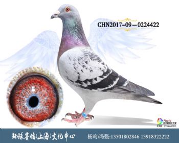 CHN2017090224422
